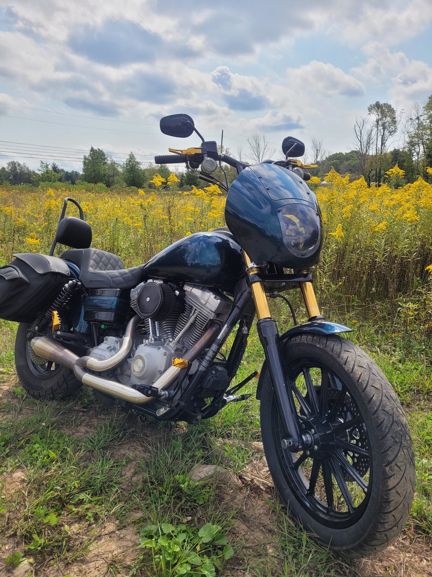 BLEM Dyna Forward Control Brake Arm