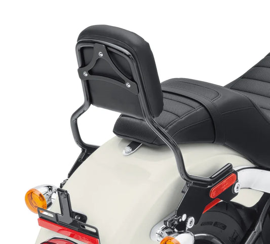 HoldFast Sissy Bar Upright - Standard Height - Gloss Black