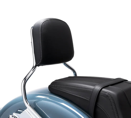Mid-Sized Passenger Backrest Pad