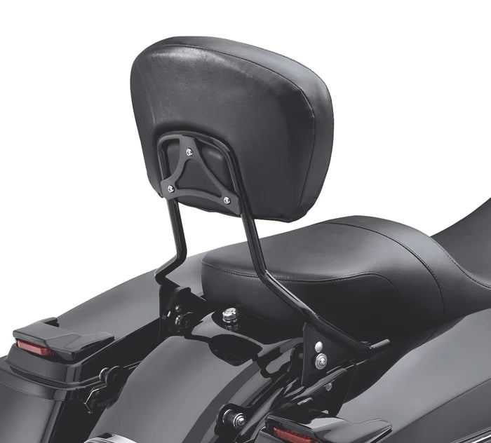 H-D Detachables Sissy Bar Upright