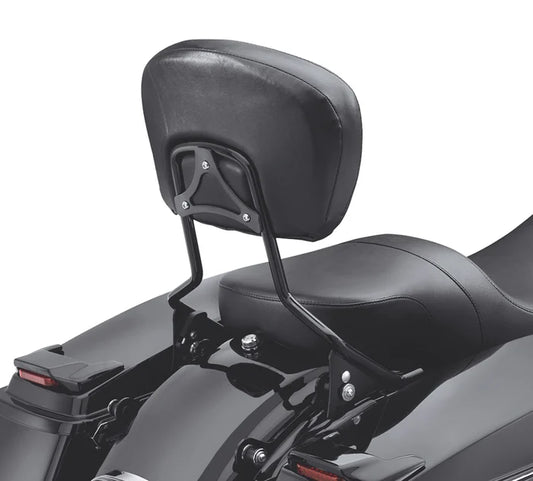 H-D Detachables Sissy Bar Upright